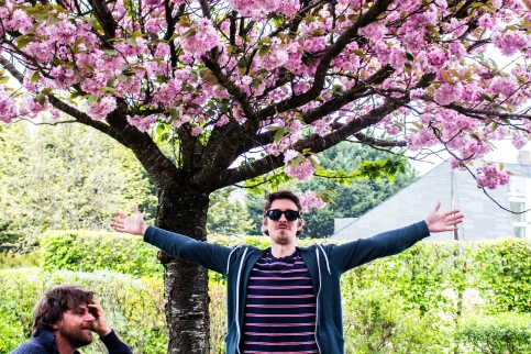 Invitation under the cherry tree